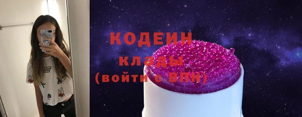 хмурый Вяземский